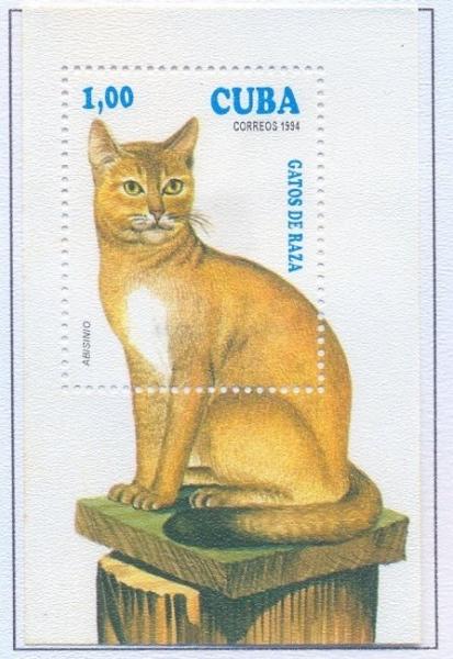 Colnect-2519-996-Abyssinian-Felis-silvestris-catus.jpg