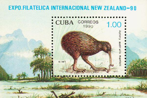 Colnect-2133-216-North-Island-Brown-Kiwi-Apteryx-australis-mantelli.jpg