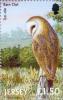 Colnect-127-937-Western-Barn-Owl-Tyto-alba.jpg