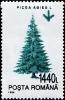 Colnect-4930-288-Common-Spruce-Picea-abies.jpg