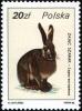 Colnect-1967-328-European-Hare-Lepus-europaeus.jpg