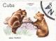 Colnect-1087-548-Brown-Bear-Ursus-arctos.jpg