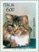 Colnect-178-760-Maine-Coon-Felis-silvestris-catus.jpg