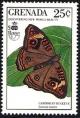 Colnect-2172-438-Westindean-Buckeye-Junonia-evarete.jpg