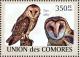 Colnect-3669-399-Western-Barn-Owl%C2%A0Tyto-alba.jpg