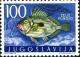 Colnect-4504-139-John-Dory-Zeus-pungio.jpg