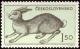 Colnect-451-360-European-Hare-Lepus-europaeus.jpg