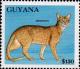 Colnect-4910-220-Abyssinian-Felis-silvestris-catus.jpg