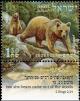 Colnect-774-485-Brown-Bear-Ursus-arctos.jpg