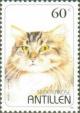 Colnect-960-074-Maine-Coon-Felis-silvestris-catus.jpg