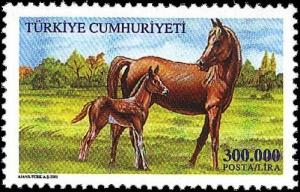 Colnect-975-840-Mare-and-Foal-Equus-ferus-caballus.jpg