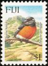 Colnect-1505-777-Pacific-Robin-Petroica-multicolor.jpg