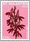 Colnect-2624-602-Lobelia-cardinalis.jpg