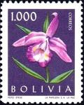 Colnect-3999-079-Sobralia-macrantha.jpg