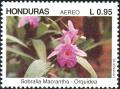 Colnect-4988-148-Sobralia-macrantha.jpg