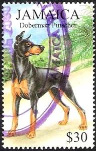 Colnect-3387-698-Doberman-Pinscher.jpg