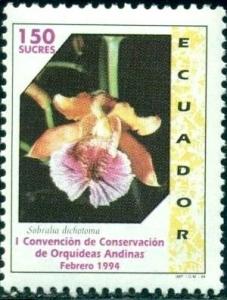 Colnect-2422-030-Sobralia-dichotoma.jpg