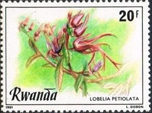 Colnect-2706-162-Lobelia-petiolata.jpg