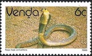 Colnect-2840-112-Snouted-Cobra-Naja-haje-annulifera.jpg