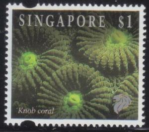 Colnect-5056-334-Knob-Coral-Favia-sp.jpg