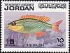 Colnect-1514-182-Arabian-Monocle-Bream-Scolopsis-ghanam.jpg