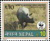 Colnect-1786-161-Indian-Rhinoceros-Rhinoceros-unicornis.jpg