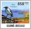 Colnect-3967-967-Galapagos-Mockingbird%C2%A0Mimus-parvulus.jpg