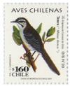 Colnect-583-568-Chilean-Mockingbird-Mimus-thenca.jpg