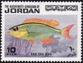 Colnect-1514-181-Arabian-Monocle-Bream-Scolopsis-ghanam.jpg