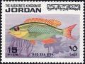 Colnect-1514-182-Arabian-Monocle-Bream-Scolopsis-ghanam.jpg