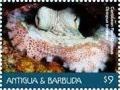 Colnect-6435-074-Octopus-briareus.jpg