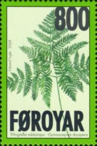 Colnect-4259-556-Gymnocarpium-dryopteris.jpg