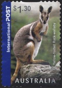 Colnect-1536-536-Yellow-footed-Rock-Wallaby-Petrogale-xanthopus.jpg