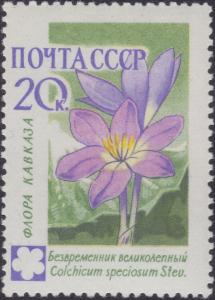 Colnect-1868-599-Autumn-crocus-Colchicum-speciosum.jpg