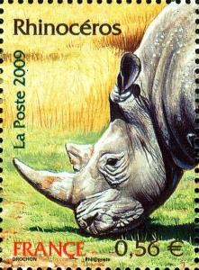 Colnect-4150-379-White-Rhinoceros-Ceratotherium-simum.jpg