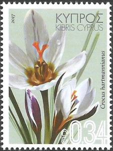 Colnect-3959-686-Crocus-hartmannianus.jpg