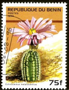 Colnect-1969-109-Echinocereus-Melanocentrus.jpg