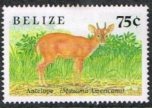 Colnect-1704-944-Red-Brocket-Mazama-americana.jpg