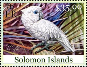 Colnect-2576-906-Ducorps-Cockatoo-Cacatua-ducorpsii.jpg