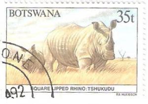 Colnect-2848-665-White-Rhinoceros-Ceratotherium-simum.jpg