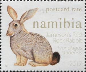 Colnect-4156-693-Jameson-s-Red-Rock-Rabbit-Pronolagus-randensis.jpg