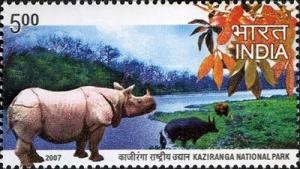 Colnect-542-624-Indian-Rhinoceros-Rhinoceros-unicornis---Kaziranga-Nationa.jpg