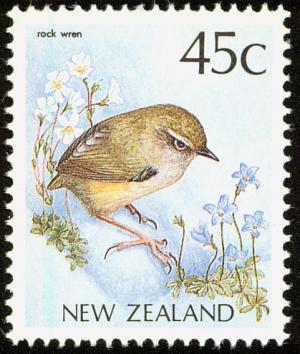 Colnect-735-544-New-Zealand-Rockwren-Xenicus-gilviventris.jpg