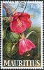 Colnect-1067-072-Trochetia-boutoniana.jpg