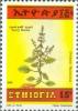 Colnect-3318-546-Ocimum-bacilicum.jpg