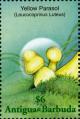 Colnect-2031-891-Leucocoprinus-birnbaumii.jpg