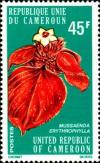 Colnect-2760-042-Ashanti-Blood-Mussaenda-erythrophylla.jpg