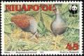 Colnect-1075-336-Tongan-Megapode%C2%A0Megapodius-pritchardii.jpg