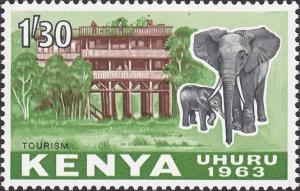 Colnect-1055-204-African-Elephant-Loxodonta-africana-in-front-of-a-Hotel.jpg