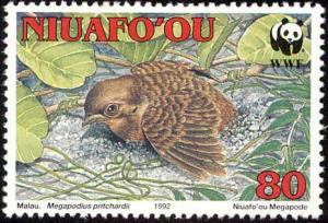 Colnect-1075-338-Tongan-Megapode%C2%A0Megapodius-pritchardii.jpg